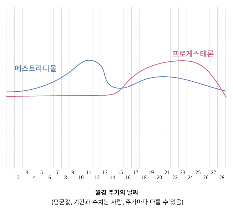 호르몬 그래프